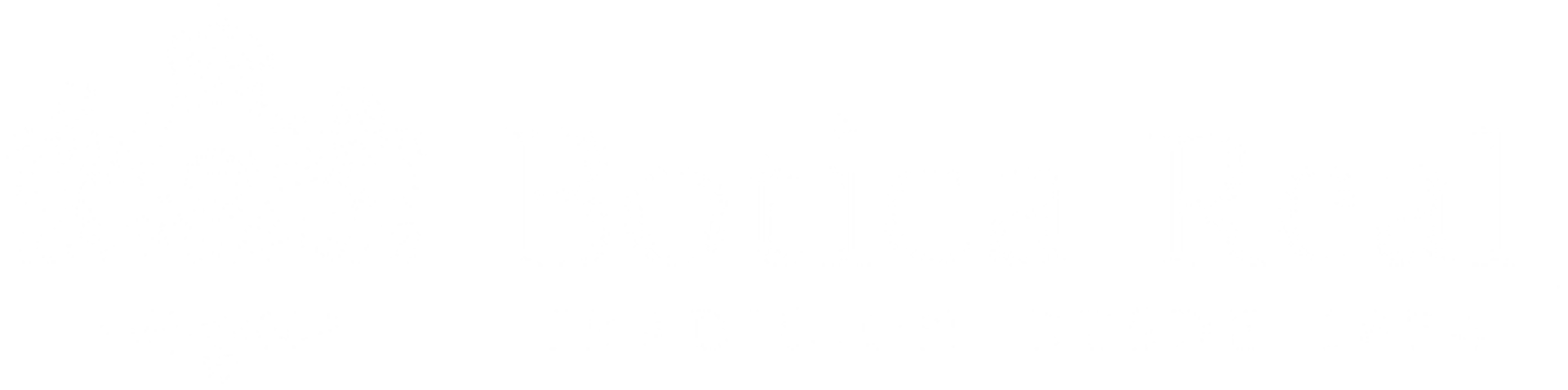 BOTICA REAL